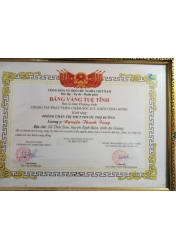 BẢNG VÀNG TUỆ TĨNH 2019