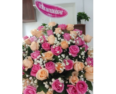 Khai trương Phúc Minh Đường